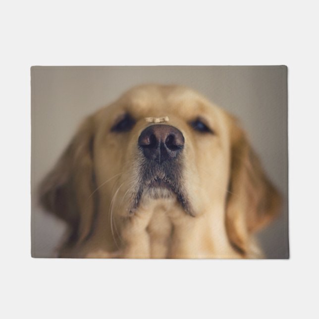 Golden Retriever Balancing Treat on Nose Doormat (Front)