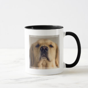 Golden Retriever Balancing Treat on Nose Mug