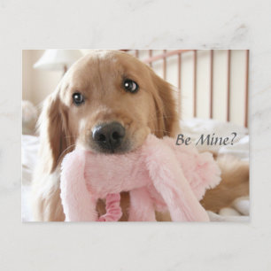 Golden Retriever Be Mine Valentine's Day Holiday Postcard