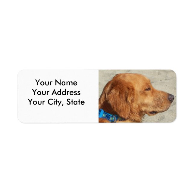 Golden Retriever Beach Dog (Front)