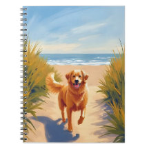 Golden Retriever Beach Path | Ocean Dog Pet