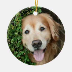Golden Retriever Behind A Smile Ceramic Ornament