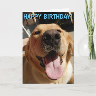 Golden Retriever birthday card