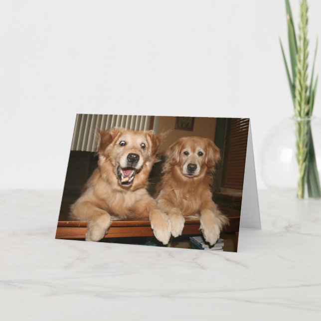 Golden Retriever Birthday Greeting Card (Front)
