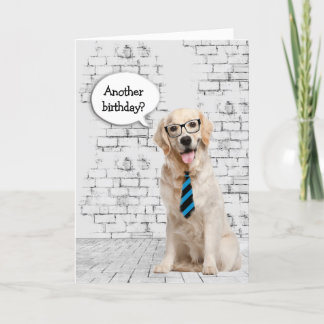 Golden Retriever Birthday Humour Card