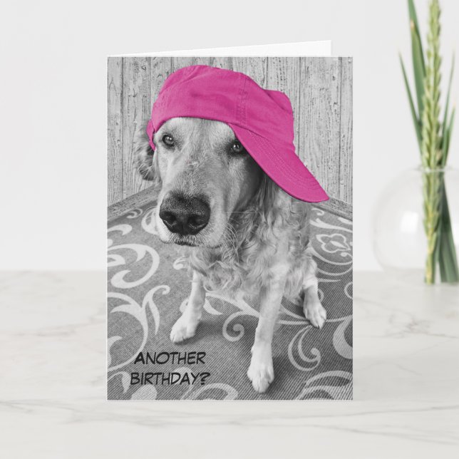 Golden Retriever Birthday Humour Card (Front)