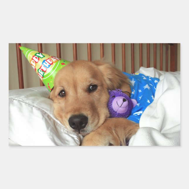 Golden Retriever Birthday Sticker (Front)