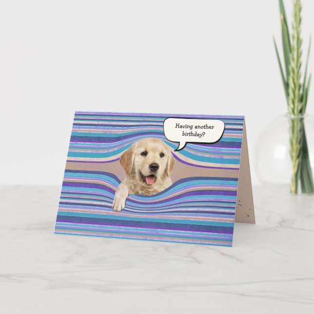 golden retriever birthday stripes card (Front)