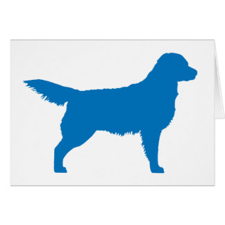 Golden Retriever (bleu)