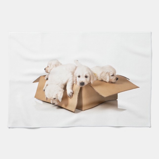 Golden Retriever Box of Fun Kitchen Towel (Horizontal)