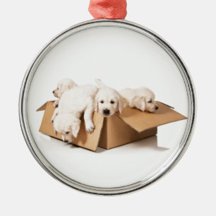 Golden Retriever Box of Fun Metal Ornament