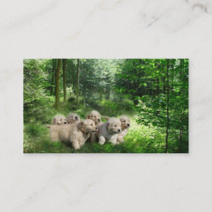 Golden Retriever Breeder Business Card