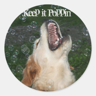 Golden Retriever Bubble Popping Classic Round Sticker