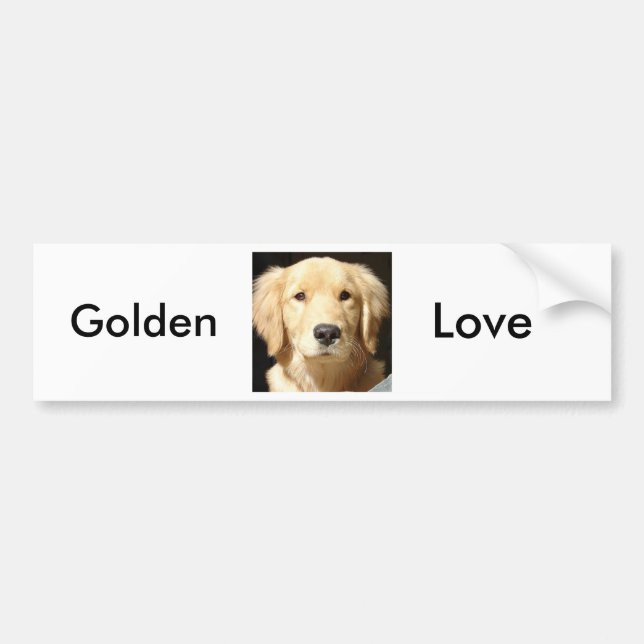 Golden Retriever Bumper Sticker (Front)