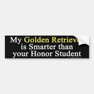 Golden Retriever Bumper Sticker