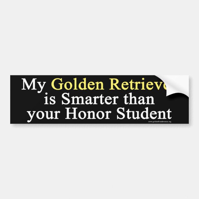 Golden Retriever Bumper Sticker (Front)
