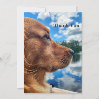 Golden Retriever by the Lake Thank You Card