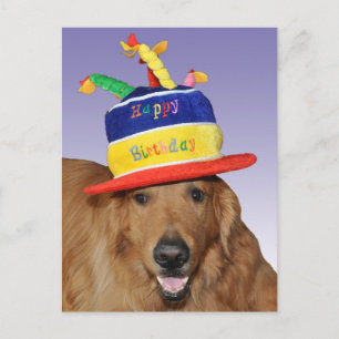 Golden Retriever cake hat postcard