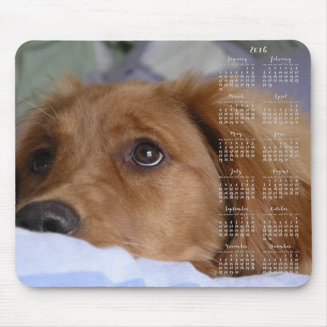 Golden Retriever Calendar 2016 Mouse Pads (Front)