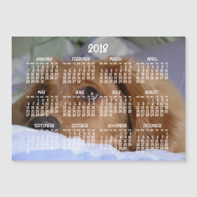 Golden Retriever Calendar 2018 Carte magnétique 5x (Devant)