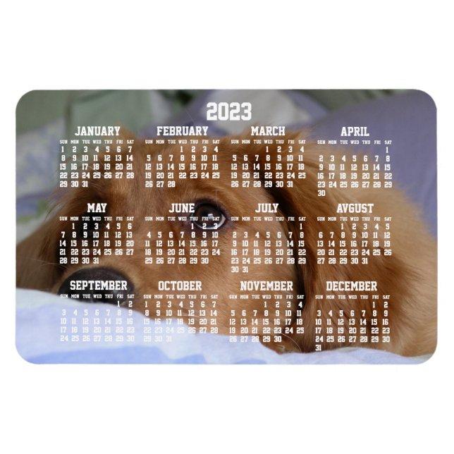Golden Retriever Calendar 2023 Grand Magnet photo (Horizontal)