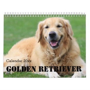 Golden Retriever Calendar 2025