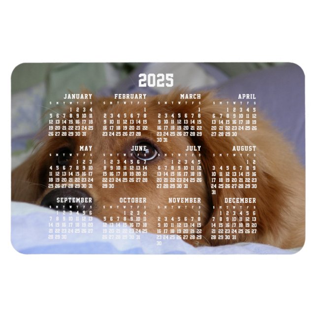 Golden Retriever Calendar 2025 Large Photo Magnet (Horizontal)