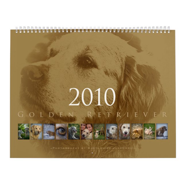 Golden retriever - calendrier mural 2010 (Protection)