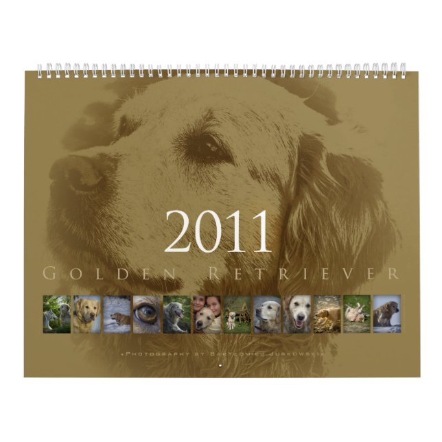 Golden retriever - calendrier mural 2011 (Protection)