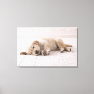 Golden Retriever Canvas Print