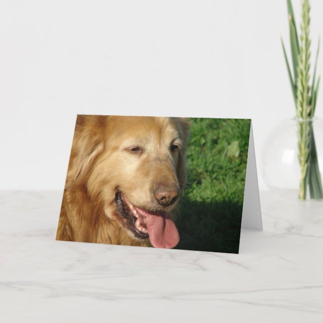 Golden Retriever Card (Front)