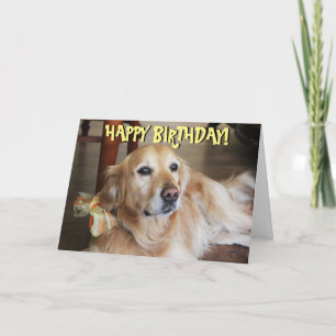 Golden retriever card