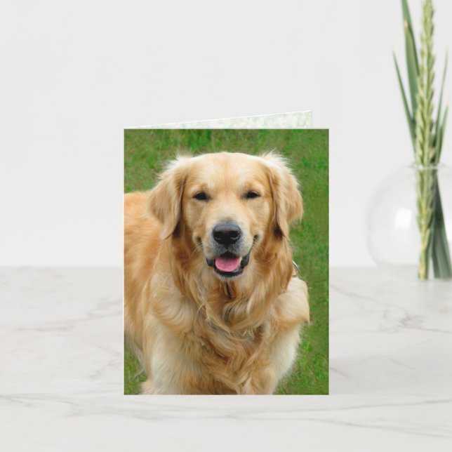 Golden Retriever - Carte de sympathie pour les chi (Devant)