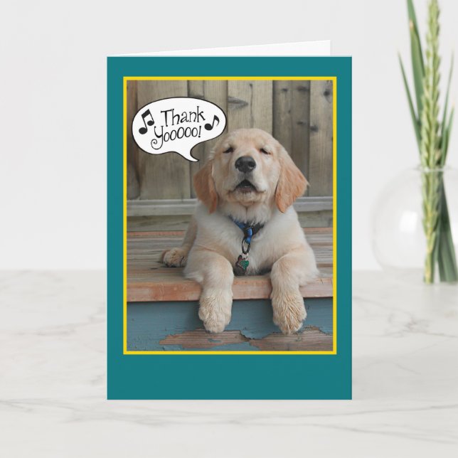 Golden Retriever chanter brille la Carte de remerc (Devant)