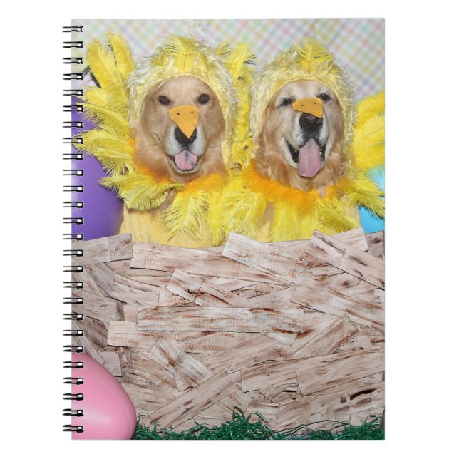Golden Retriever Chicks in a Nest Notebook (Front)