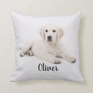 Golden Retriever Chien Chien Chien Chien Coussin P