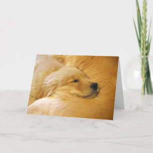 Golden Retriever Chiot Carte de la fête des mères