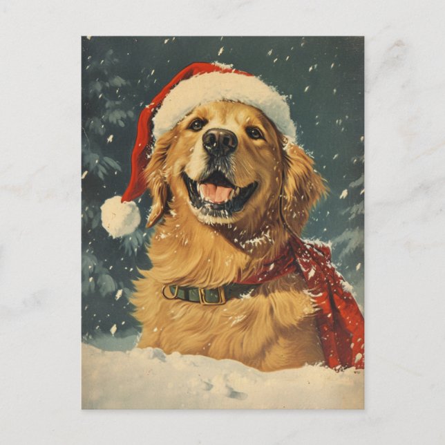Golden Retriever Christmas  Postcard (Front)
