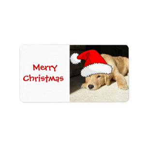 Golden Retriever Christmas Puppy Label