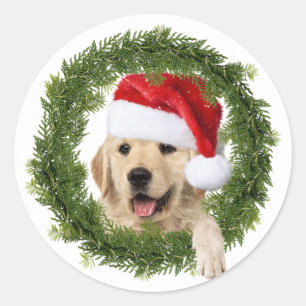 Golden Retriever Christmas wreath Classic Round Sticker