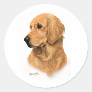 Golden Retriever Classic Round Sticker