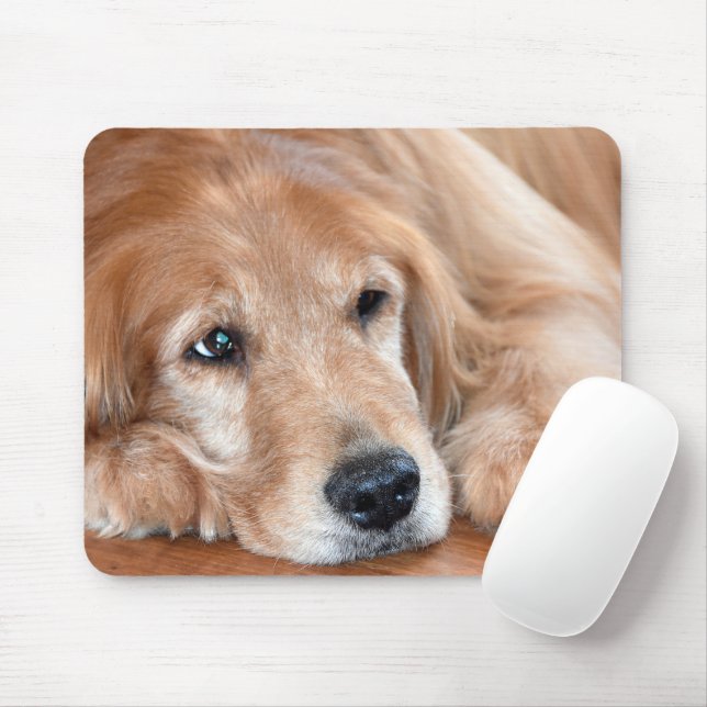 Golden Retriever Closeup Mouse Pad (With Mouse)