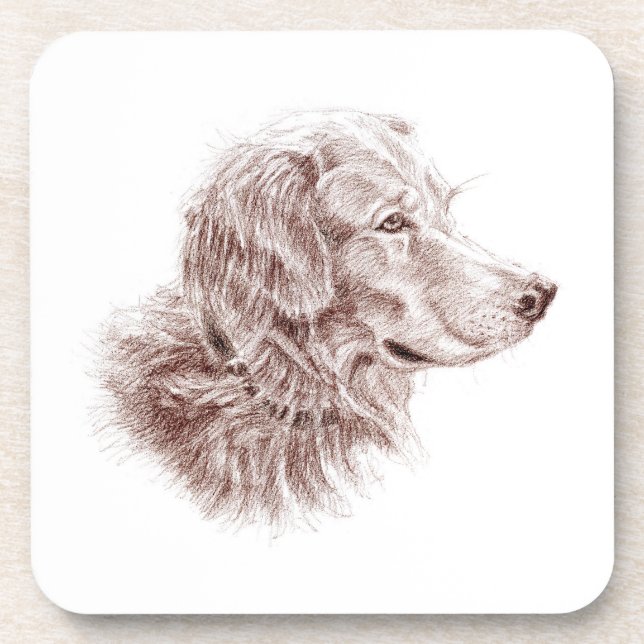 Golden Retriever Coaster (Front)