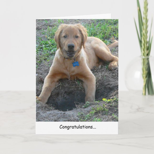 Golden Retriever Congratulations Card (Front)