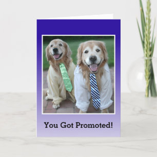 Golden Retriever Congratulations on Your Promotion Card