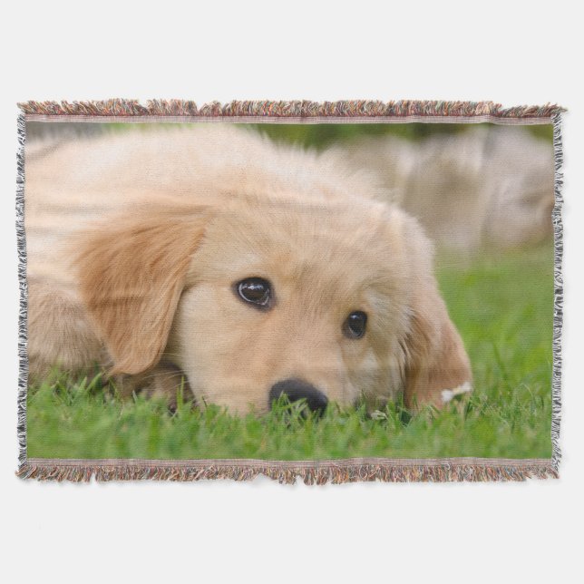 Golden Retriever Cute Dog Puppy Dreaming, soft Throw Blanket (Front)