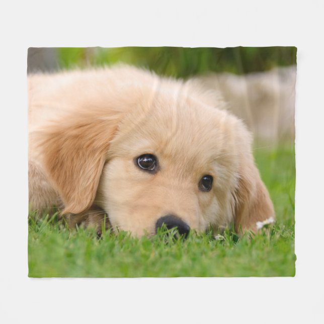 Golden Retriever Cute Puppy Dreaming,  cozy Fleece Blanket (Front (Horizontal))