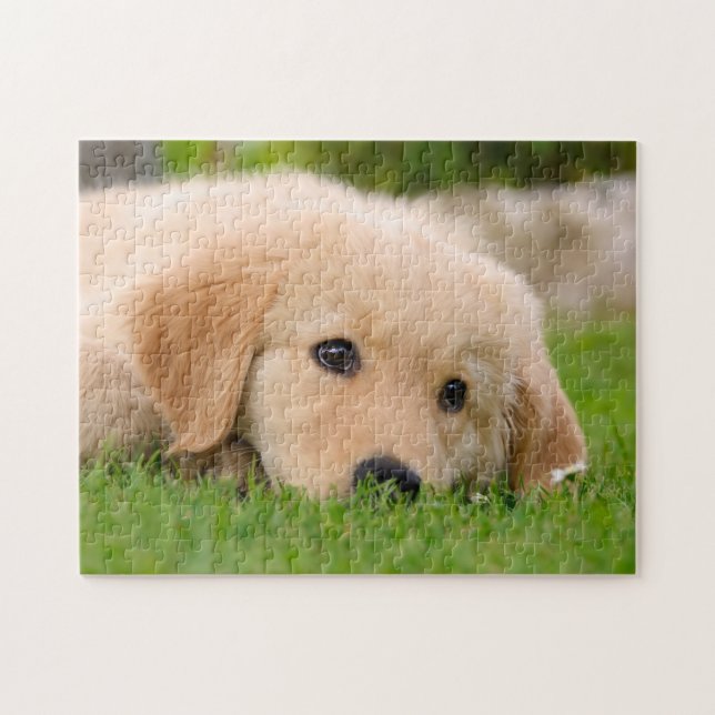 Golden Retriever Cute Puppy Dreaming, Game 11x14 Jigsaw Puzzle (Horizontal)