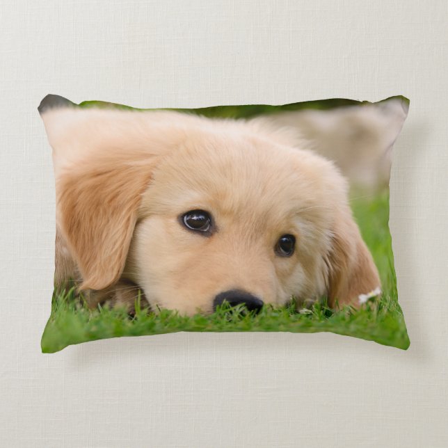 Golden Retriever Cute Puppy Dreaming, Throw Decorative Pillow (Front)