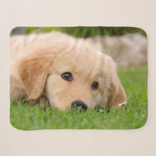 Golden Retriever Cute Puppy Dreams Dog Head Photo Sherpa Blanket